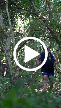 BIB:  <button type="button" onclick="openModal(28066896)" class="btn btn-primary btn-sm float-right" data-toggle="modal" data-target=".modal-high-quality">
                <i class="fa fa-download"></i> Download
                </button>